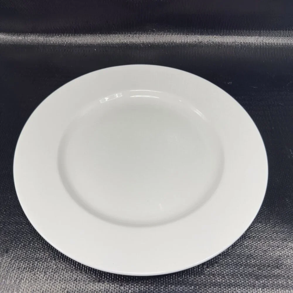 Pier 1 New Essentials Classic Coupe White‎ Porcelain 11inch Plate Dish Set 4 VTG